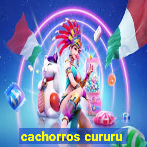 cachorros cururu